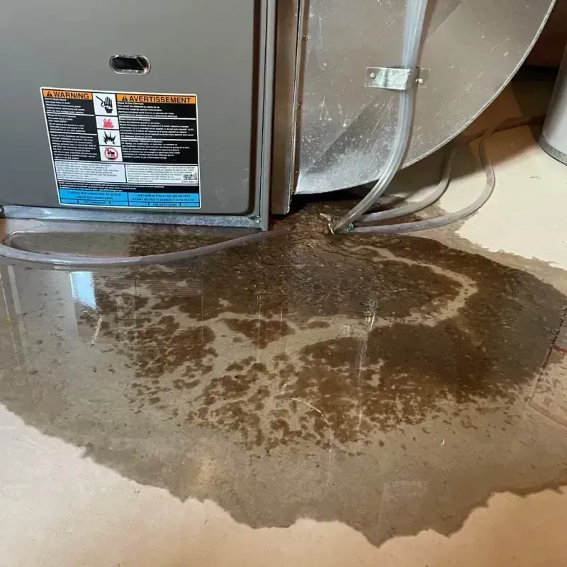 Appliance Leak Cleanup in Chesterfield, NH